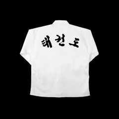 DECAL LETTERING - TAEKWONDO (KOREAN-ARCH)