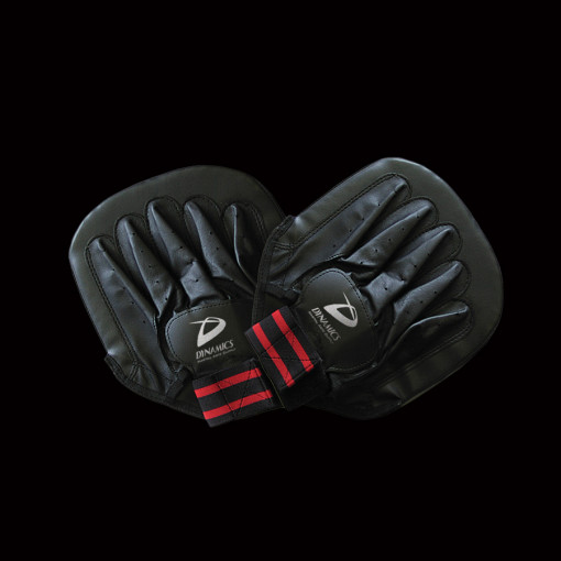 DYNAMICS FOCUS MITT