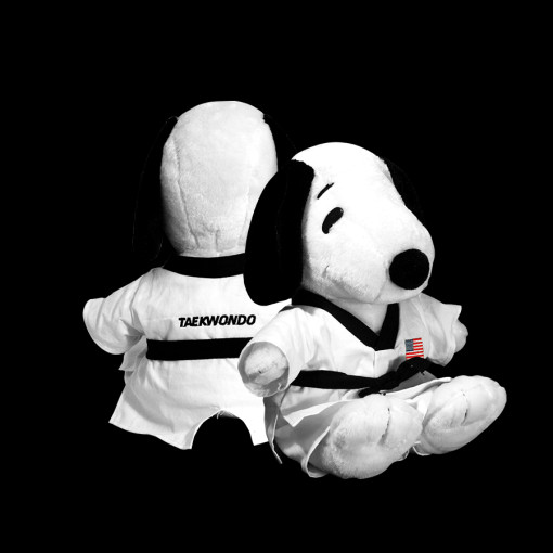 WHITE TAEKWONDO PUPPY PLUSH