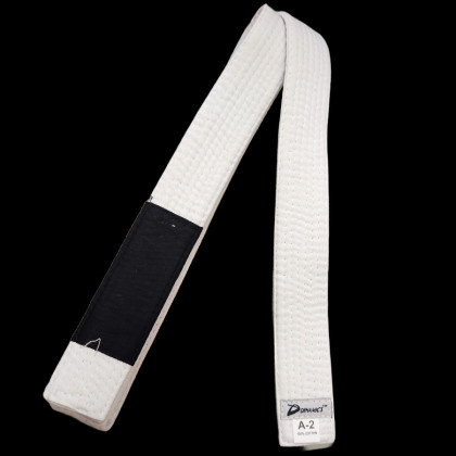 DYNAMICS JIU JITSU BELTS