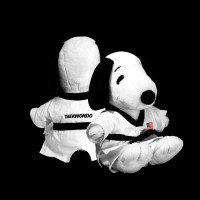 WHITE TAEKWONDO PUPPY PLUSH