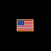 USA FLAG WITH GOLD FRAME PATCH